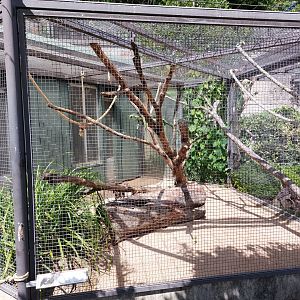 Parrot aviary examplr