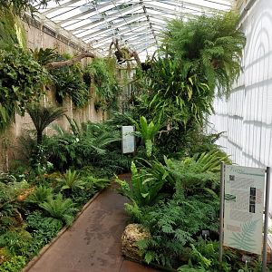 Edible plants greenhouse