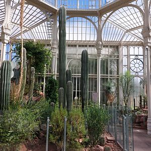 Cactus greenhouse