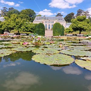 Lily pond in Moorish garden