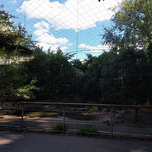 Rosy starling and waterfowl aviary