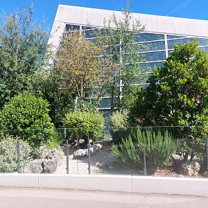 European tortoise exhibit
