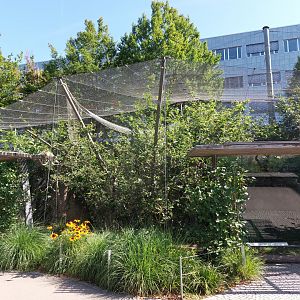 S-American monkey enclosures