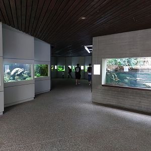 Aquarium - tropical freshwater section