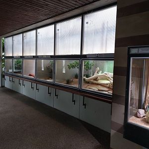 Aquarium - reptile tanks