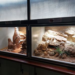 Aquarium - reptile area