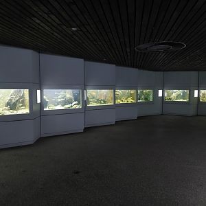 Aquarium - temperate freshwater section