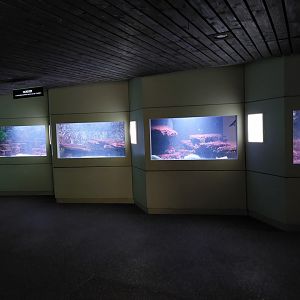 Aquarium - North Sea section