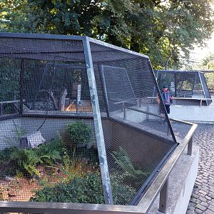 European herpetofauna enclosures