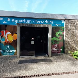 Aquarium entrance