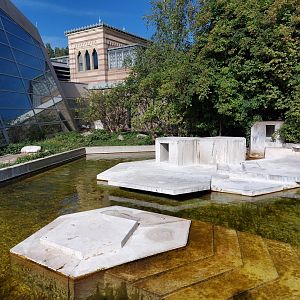 Northern gannet enclosure