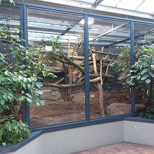 Small mammal & bird house - Tamandua and armadillo