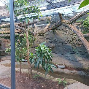 Small mammal & bird house - Tamandua & armadillo