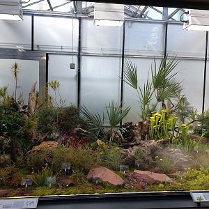 Small mammal & bird house - carnivorous plants