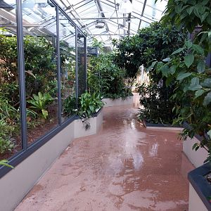 Small mammal & bird house - general view