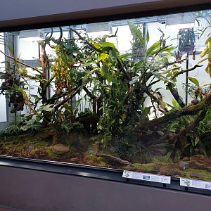 Small mammal & bird house - carnivorous plants