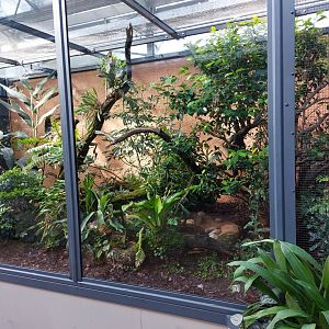 Small mammal & bird house - SE-Asian birds