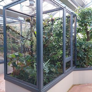 Small mammal & bird house - Red-legged honeycreeper