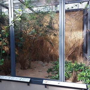 Small mammal & bird house - Smaller African bird aviary