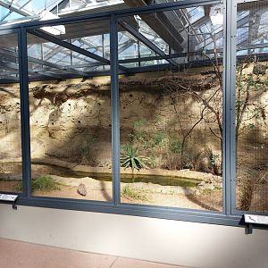 Small mammal & bird house - Larger Africam aviary