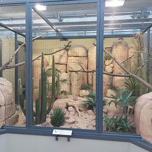 Small mammal & bird house - Roadrunner aviary