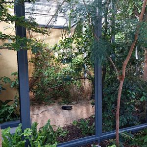 Small mammal & bird house - African pygmy falcon aviary