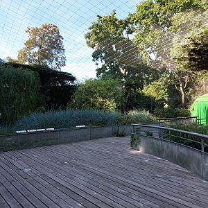 European walkthrough aviary