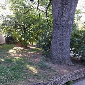 African walkthrough aviary