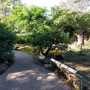 African walkthrough aviary