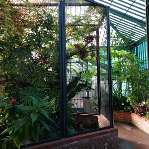 S-American aviary in greenhouse
