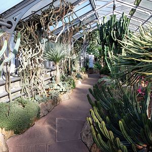 Succulent greenhouse