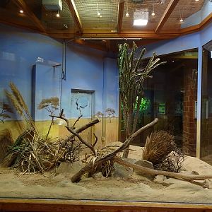 Enclosure for fat sand rats (07/22)