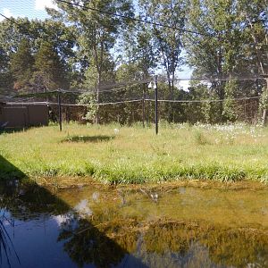 7/12/2022 - Brolga Habitat (Left Half)