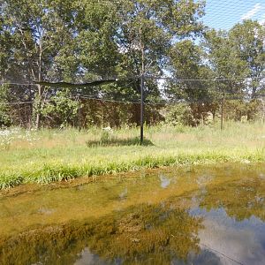 7/12/2022 - Brolga Habitat (Right Half)
