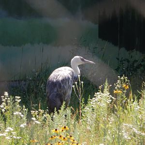 7/12/2022 - All Good in the Hood...