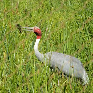 7/12/2022 - A Mossy Catch