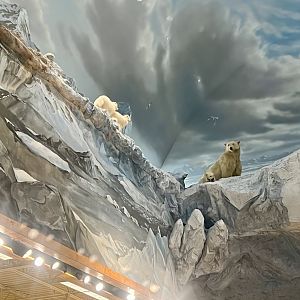 Bass Pro-Shop Anchorage