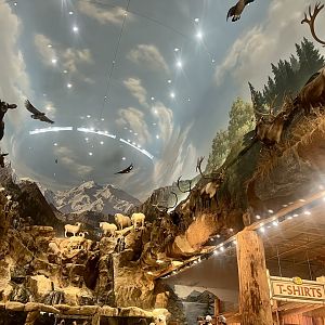 Bass-Pro Shop Anchorage