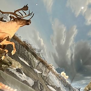 Bass-Pro Shop Anchorage