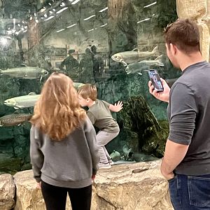 Live Fish Display Bass-Pro Shop Anchorage