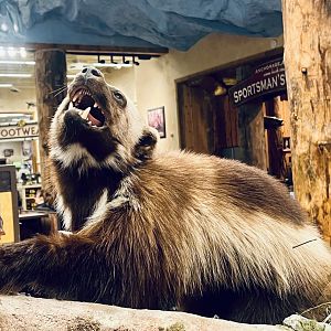 Bass-Pro Shop Anchorage