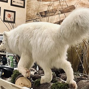 Bass-Pro Shop Anchorage