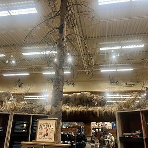 Bass-Pro Shop Anchorage