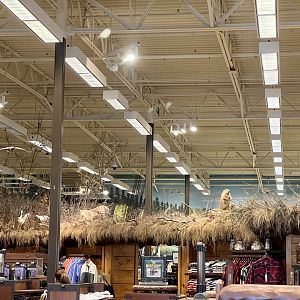 Bass-Pro Shop Anchorage