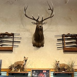 Bass-Pro Shop Anchorage