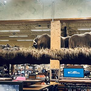 Bass-Pro Shop Anchorage