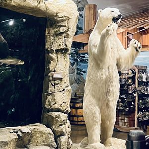 Bass Pro Shop Anchorage