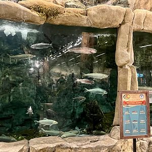 Bass Pro Shop Anchorage