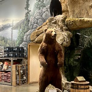 Bass Pro Shop Anchorage