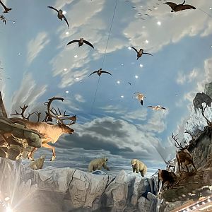 Bass Pro Shoo Anchorage